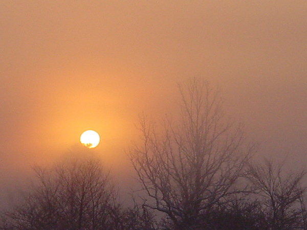 Morning Mists