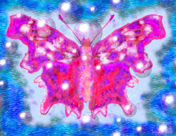 Pastel Butterfly Dreams