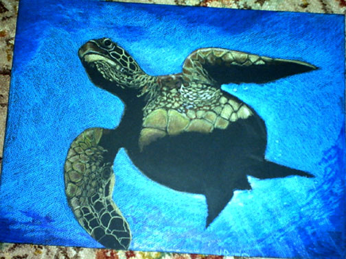 sea turtle