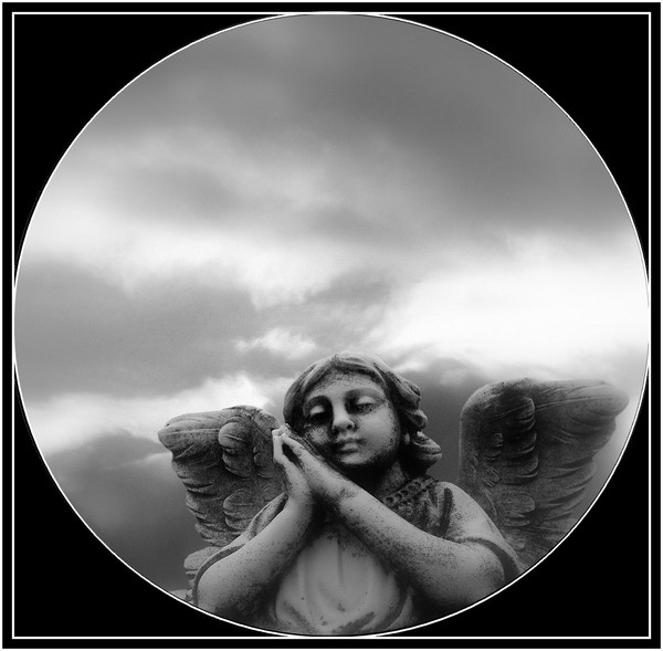 When Angels Day Dream