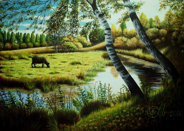 Native Land