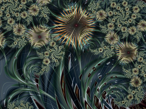 Flowers at night