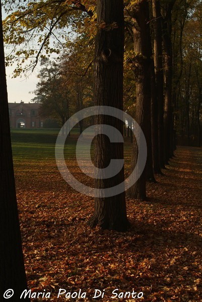 Autumn
