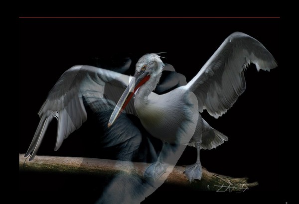 Fly...