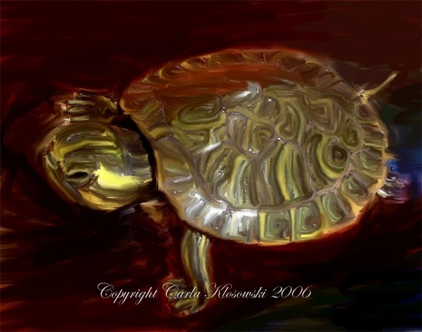 Painted Baby Turtle