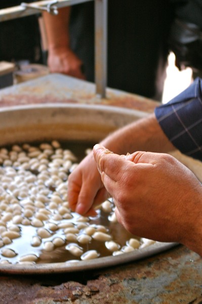 Making Silk Thread in Turkey