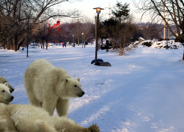 Bears along Rockriver