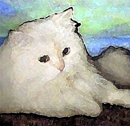 A PICTURE OF GRACE