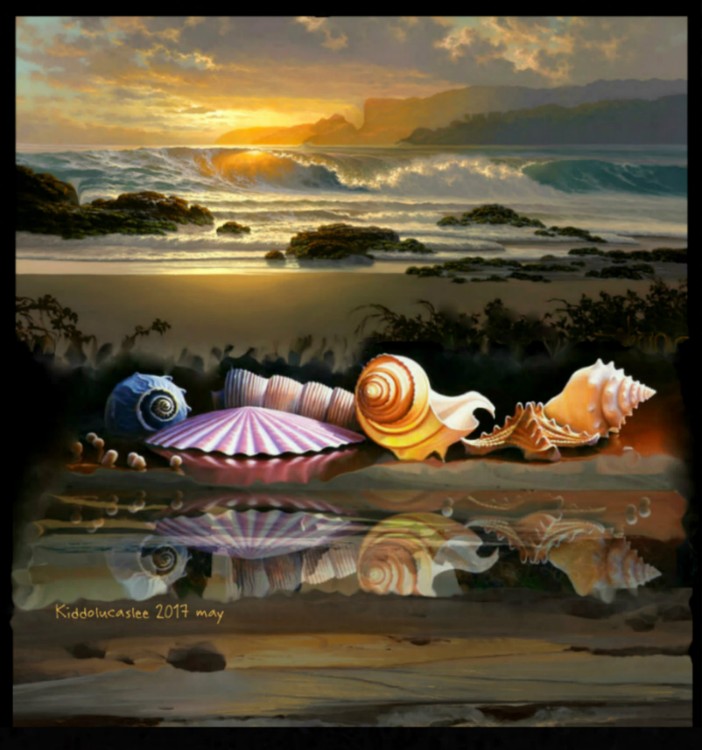 Sunset Trophieshore * 2017