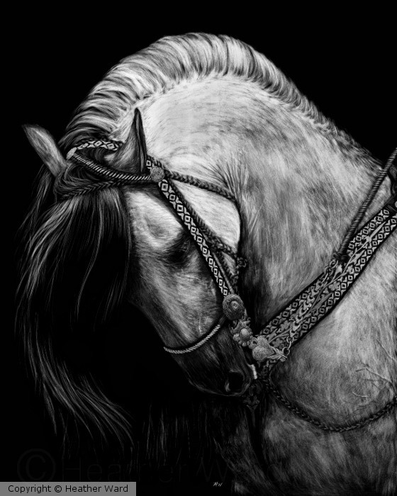 Silver Belle