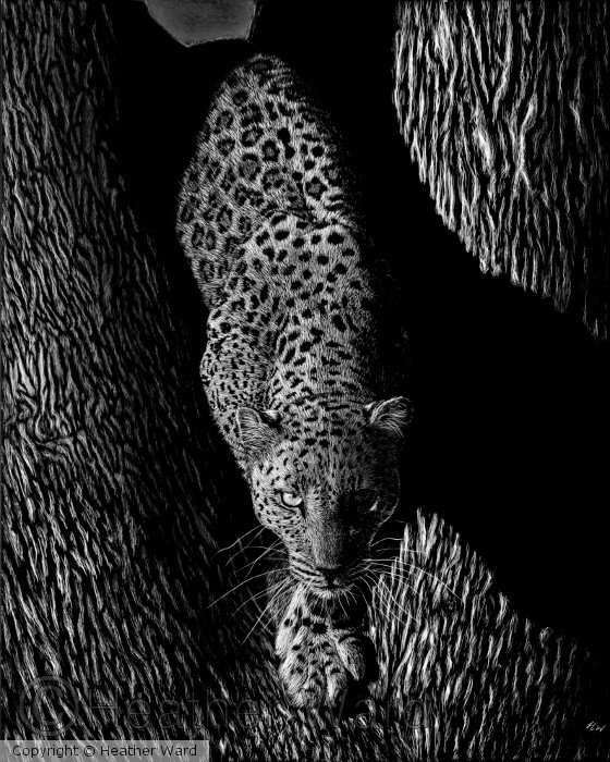 On Target