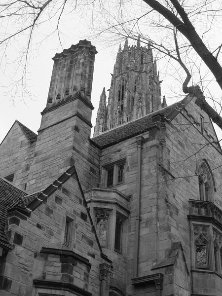 Yale living