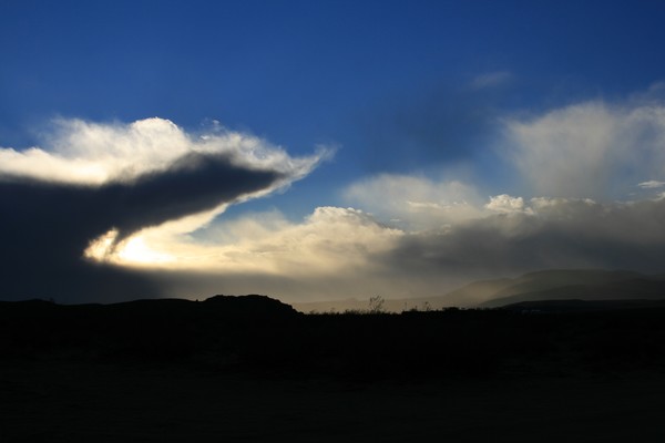 Spirit Horse Sunrise