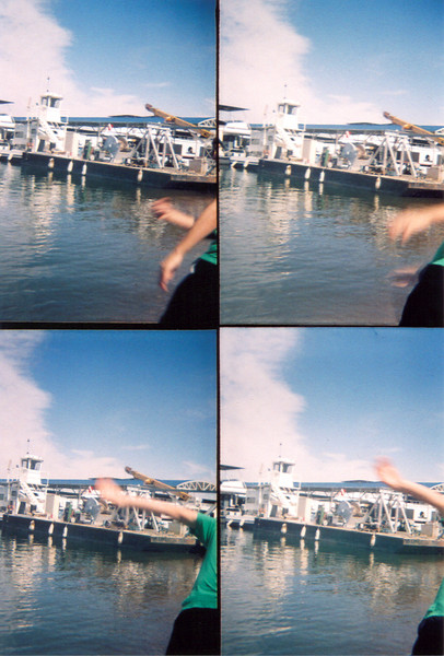 Skipping Stones
