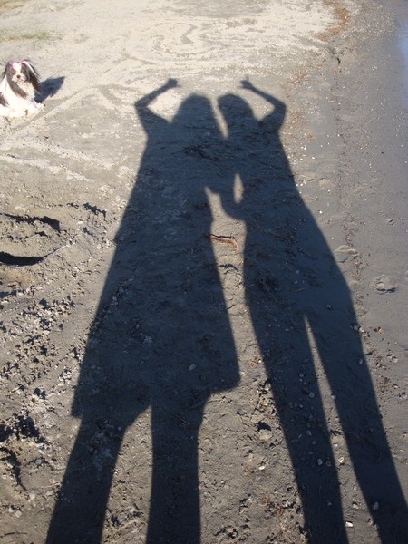 Shadows