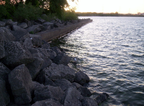 Rocky Shore