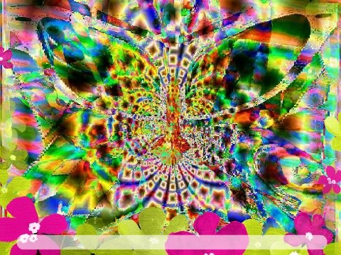 butt caught in WEB #14
