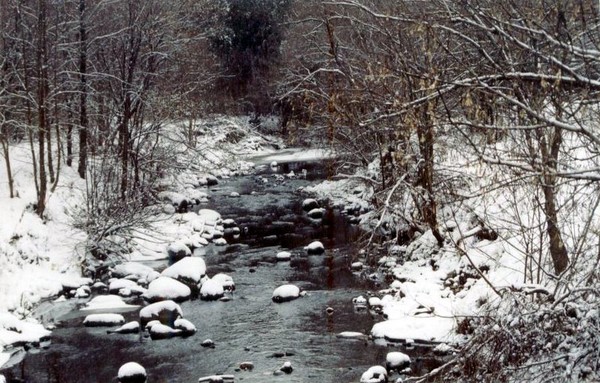 Silent Winter Creek