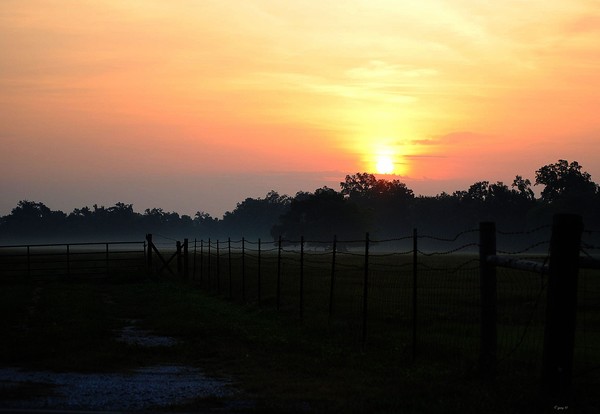 RED DAWN