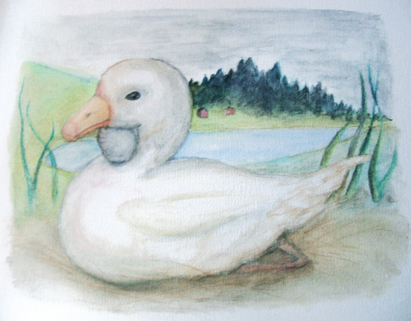 Kebnakaise