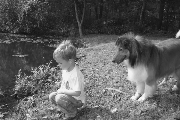 Owen's Best Friend