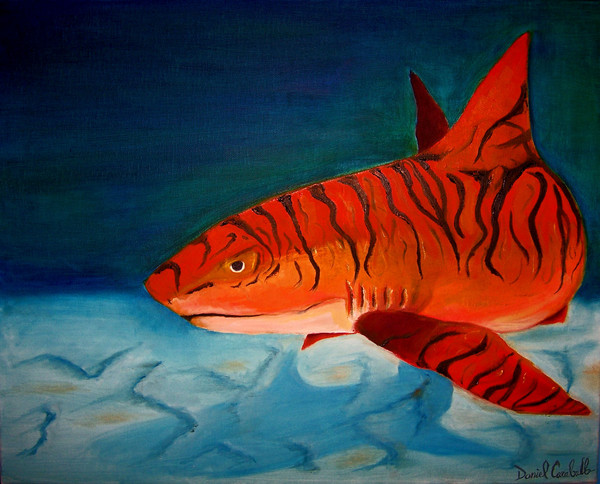 Tiger-Shark