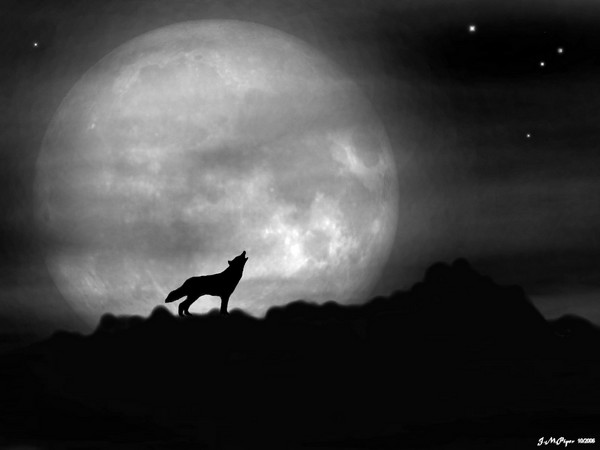 Full Moon Howl