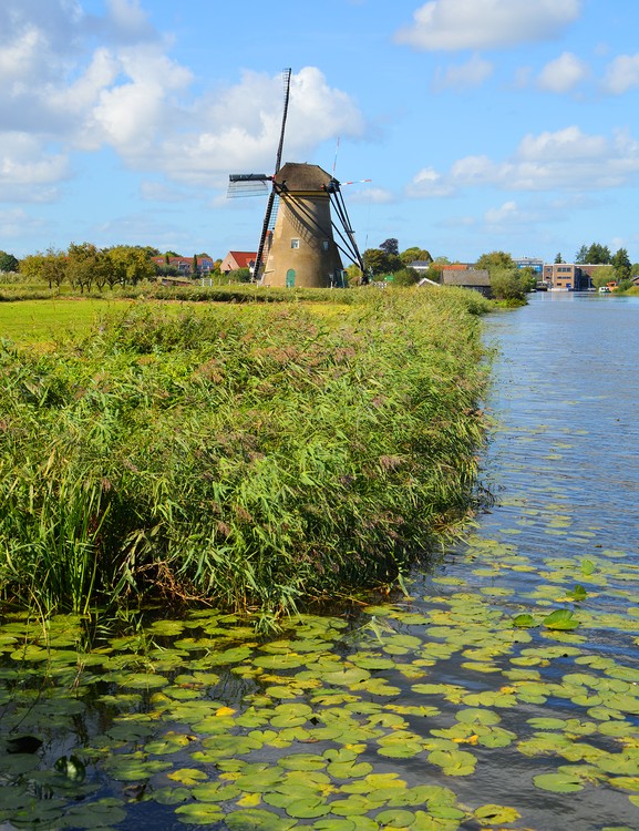 Dutch landscape 