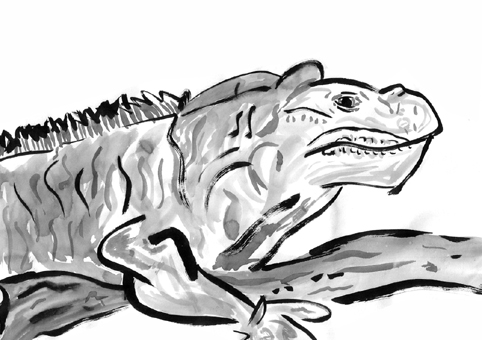 Lizard