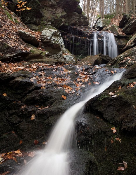 abby ravine