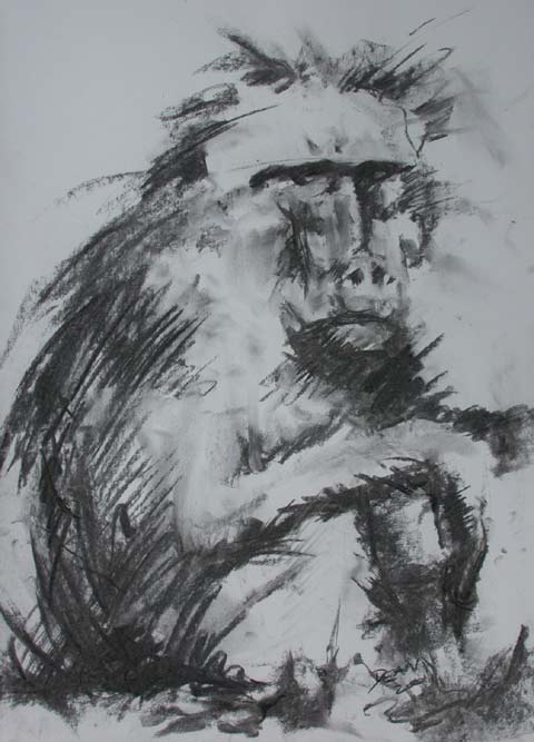 The Watcher