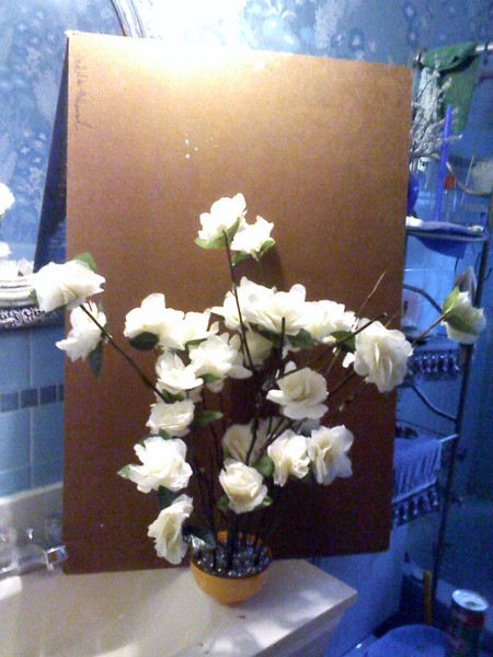 White Flowers