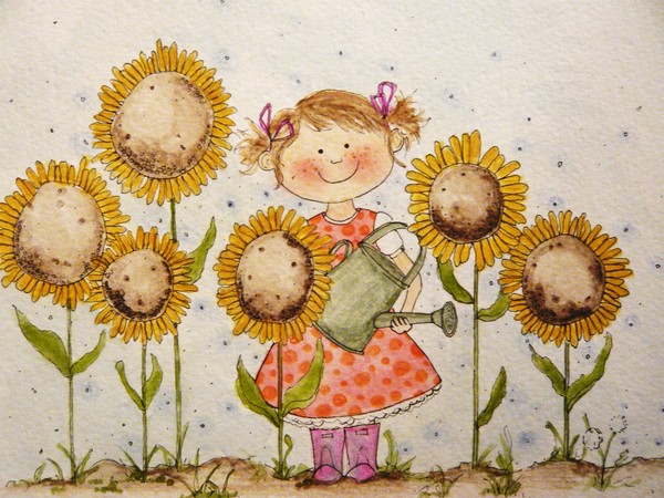 Growing Sunflowers