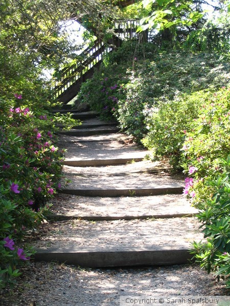 Garden Path