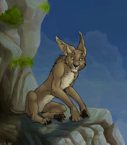 Shape's Cliff