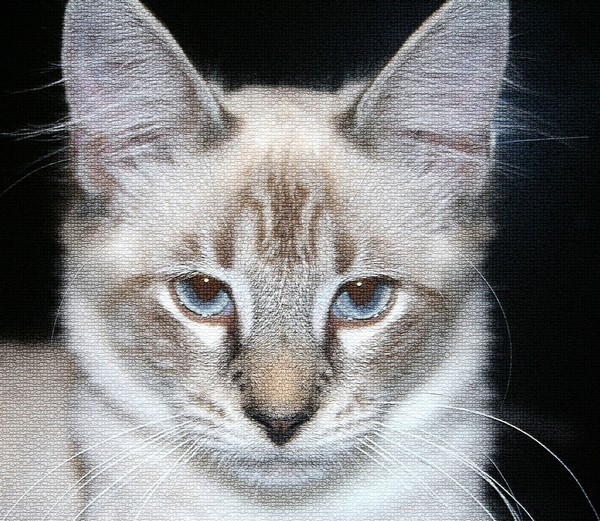 Serious