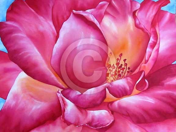 Rosanne