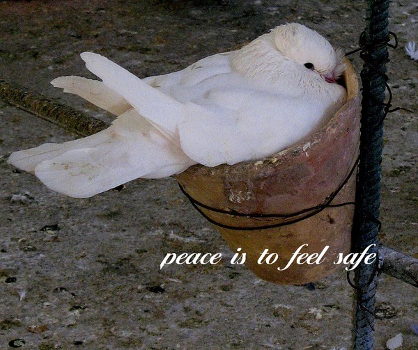 peace is to feel safe