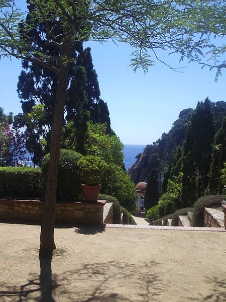 The View From Steps In Botanical Gardens