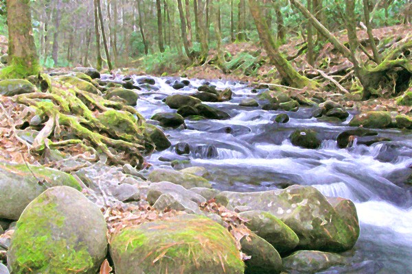 Stream in early fall