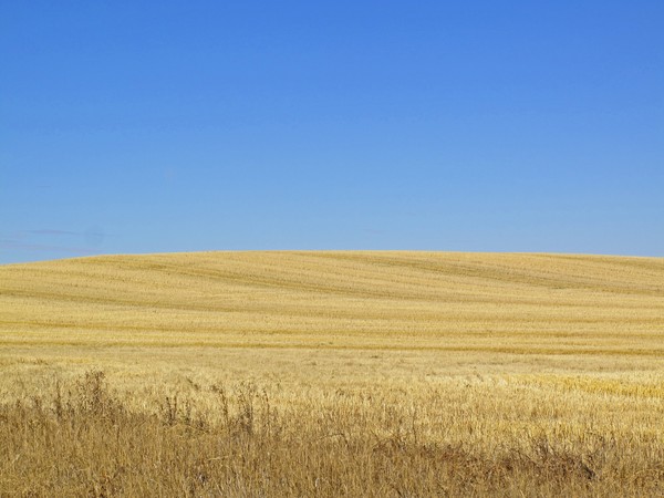 After Harvest
