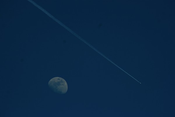 Fly Bye~