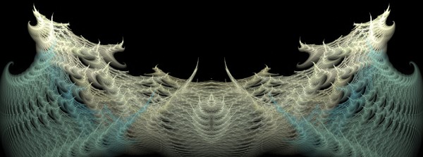 Shells 27