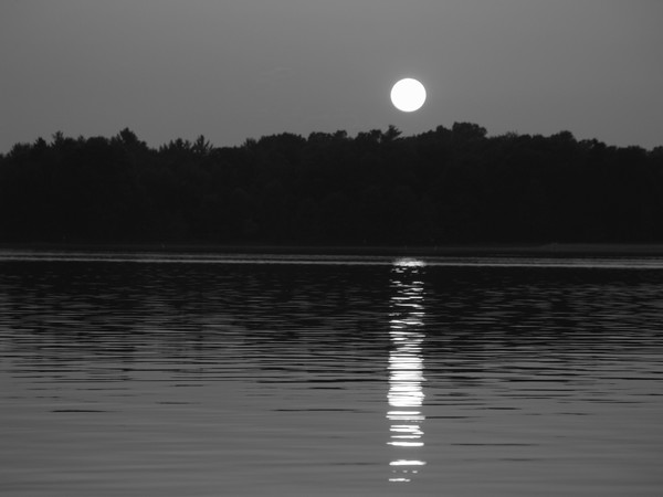 Black & White Sunset