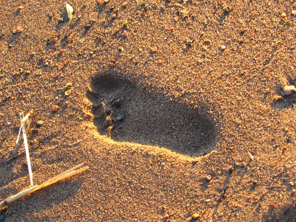 ..footsteps in the sand...