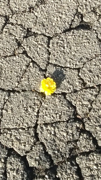 Resilient Hope