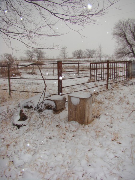 Prairie Winter