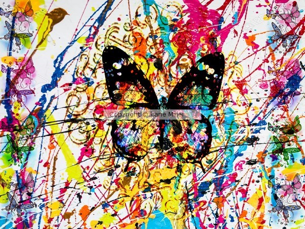 flutter baby 1