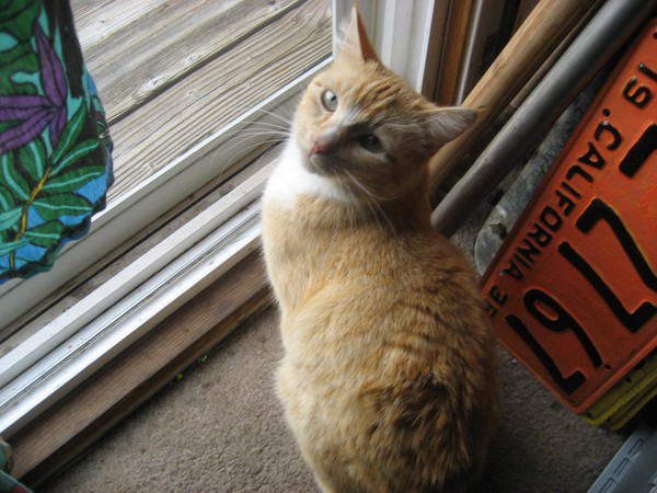Let me out