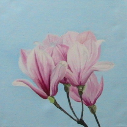 little magnolias 2